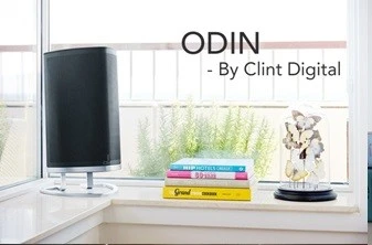 Odin_noir_avec_pied