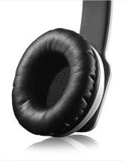 Zoro_Oreille