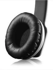 Zoro_Oreille
