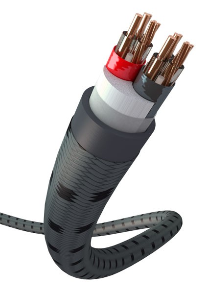 image_3d-tdc_1